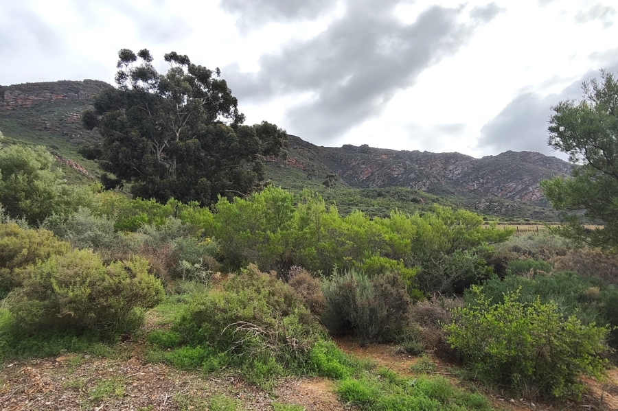 0 Bedroom Property for Sale in Piketberg Western Cape